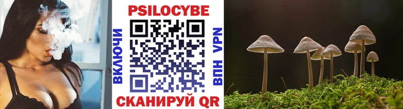 Псилоцибиновые грибы GOLDEN TEACHER  продажа наркотиков  гидра как войти  Октябрьский 